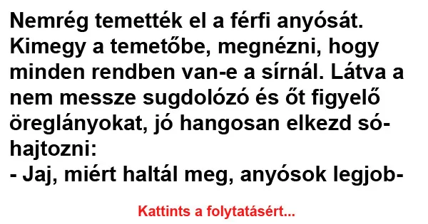 Vicc: Nemrég temették el a férfi anyósát Vicc: Nemrég temették el a férfi anyósát