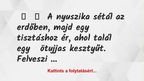 Vicc: Nyuszika sétál a tisztáson és egyszer csak talál egy ötujjas kesztyűt….