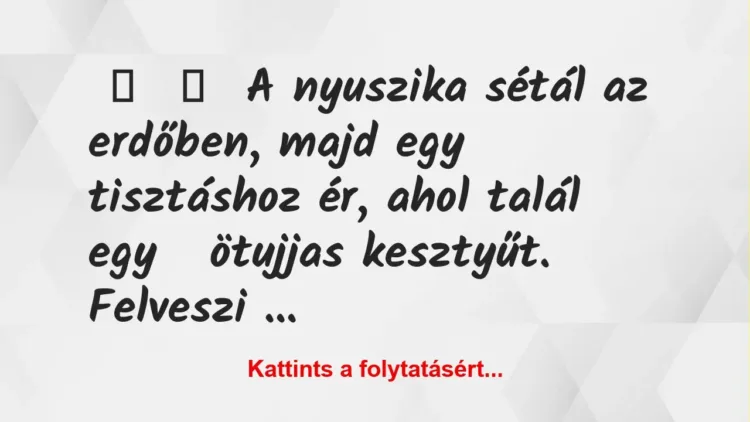 Vicc: Nyuszika sétál a tisztáson és egyszer csak talál egy ötujjas kesztyűt….