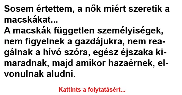 Vicc: Sosem értettem, a nők miért szeretik a macskákat…