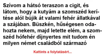 Vicc: Szívom a hátsó teraszon a cigit