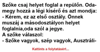 Vicc: Szőke csaj helyet foglal a repülőn, odamegy hozzá a légi kísérő