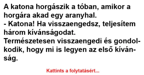 Vicc: Testhez simuló hosszú szoknyában a buszra készül felszállni egy szőke bombázó