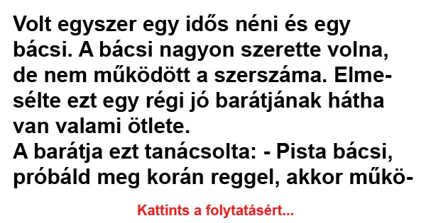 Vicc: Volt egyszer egy idős néni és egy bácsi