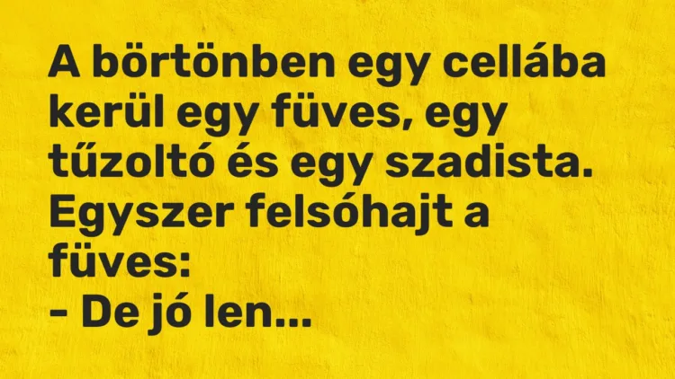 Vicc: A börtönben egy cellába kerül egy füves, egy tűzoltó és egy szadista. Egyszer…