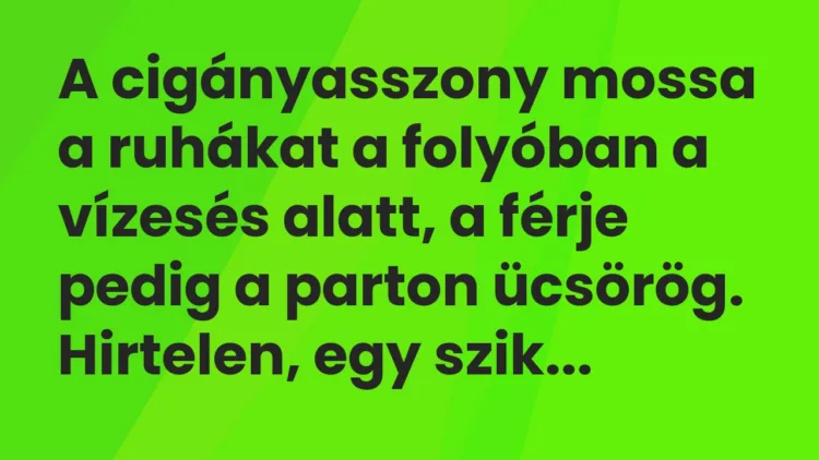 Vicc: A cigányasszony mossa a ruhákat a folyóban a vízesés alatt, a férje pedig a…