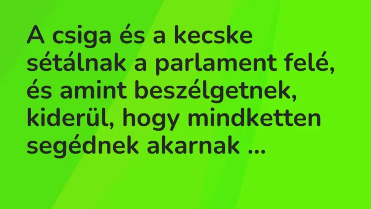 Vicc: A csiga és a kecske sétálnak a parlament felé, és amint beszélgetnek, kiderül,… Vicc: A csiga és a kecske sétálnak a parlament felé, és amint beszélgetnek, kiderül,…