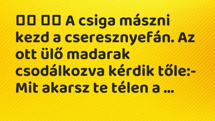 Vicc:
A csiga mászni kezd a cseresznyefán. Az ott ülő madarak… Vicc:
A csiga mászni kezd a cseresznyefán. Az ott ülő madarak…