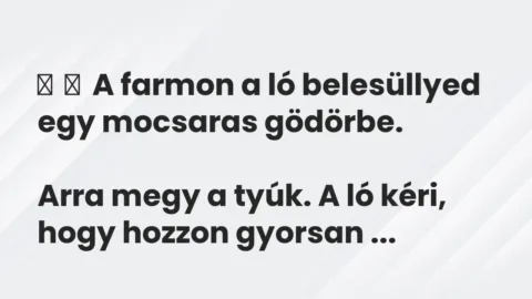 Vicc: 
	    	    A farmon a ló belesüllyed egy mocsaras gödörbe.


Arra megy a…