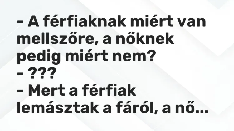 Vicc: – A férfiaknak miért van mellszőre, a nőknek pedig miért nem?
– ???
-… Vicc: – A férfiaknak miért van mellszőre, a nőknek pedig miért nem?
– ???
-…