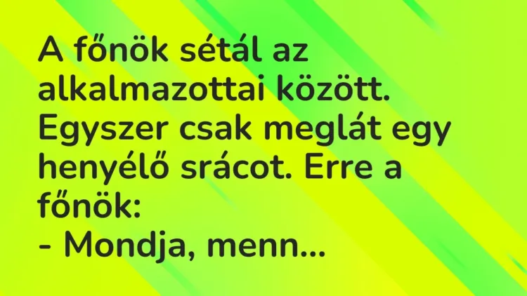 Vicc: A főnök sétál az alkalmazottai között. Egyszer csak meglát egy henyélő srácot…. Vicc: A főnök sétál az alkalmazottai között. Egyszer csak meglát egy henyélő srácot….