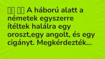 Vicc: A háború alatt a németek egyszerre ítéltek halálra egy…