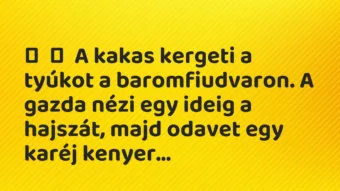 Vicc: A kakas kergeti a tyúkot a baromfiudvaron. A gazda nézi egy ideig a…