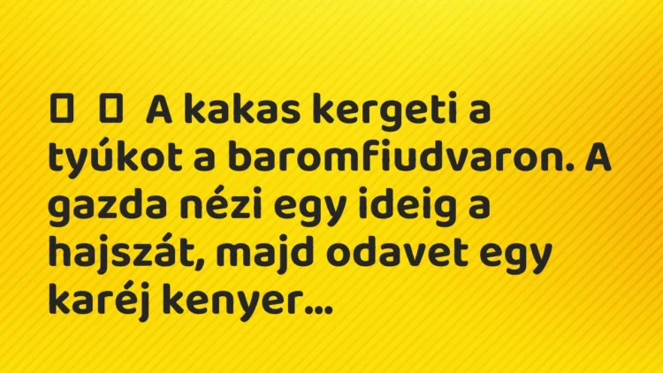 Vicc: A kakas kergeti a tyúkot a baromfiudvaron. A gazda nézi egy ideig a…
