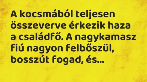 Vicc: A kocsmából teljesen összeverve érkezik haza a családfő. A nagykamasz fiú nagyon…