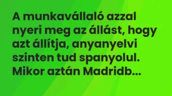 Vicc: A munkavállaló azzal nyeri meg az állást, hogy azt állítja, anyanyelvi szinten…