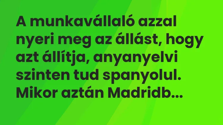 Vicc: A munkavállaló azzal nyeri meg az állást, hogy azt állítja, anyanyelvi szinten…