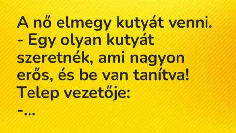 Vicc: A nő elmegy kutyát venni.

– Egy olyan kutyát szeretnék, ami nagyon erős, és…