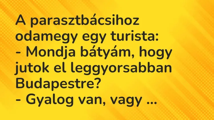 Vicc: A parasztbácsihoz odamegy egy turista:
– Mondja bátyám, hogy jutok el… Vicc: A parasztbácsihoz odamegy egy turista:
– Mondja bátyám, hogy jutok el…