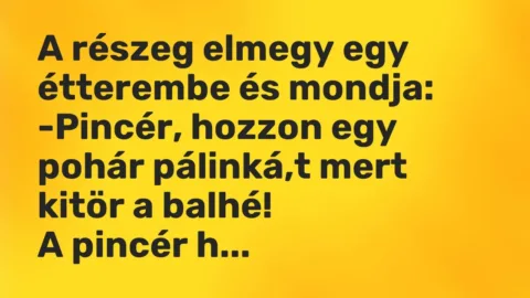 Vicc: A részeg elmegy egy étterembe és mondja:

-Pincér, hozzon egy pohár…