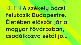 Vicc: A székely bácsi felutazik Budapestre. Életében először jár …