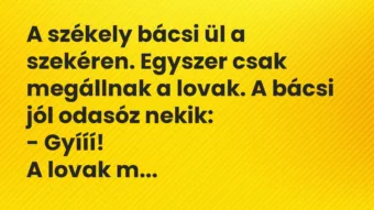 Vicc: A székely bácsi ül a szekéren. Egyszer csak megállnak a lovak. A bácsi jól…