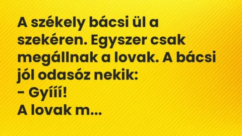 Vicc: A székely bácsi ül a szekéren. Egyszer csak megállnak a lovak. A bácsi jól…