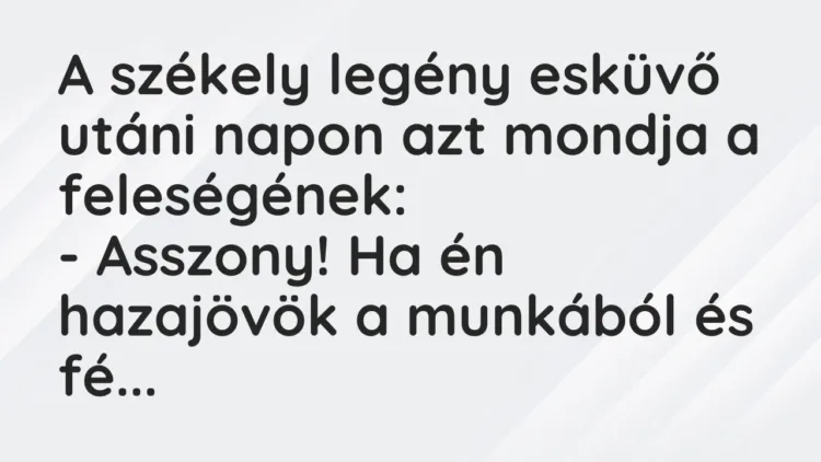Vicc: A székely legény esküvő utáni napon azt mondja a feleségének:
– Asszony! Ha… Vicc: A székely legény esküvő utáni napon azt mondja a feleségének:
– Asszony! Ha…