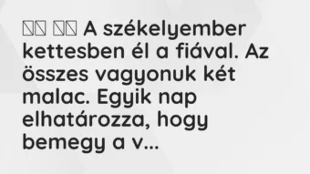 Vicc: A székelyember kettesben él a fiával. Az összes vagyonuk…