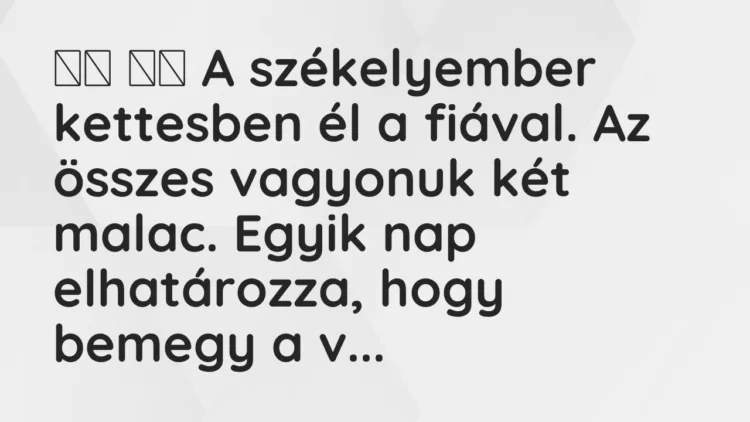 Vicc: A székelyember kettesben él a fiával. Az összes vagyonuk…