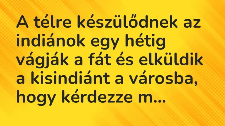 Vicc: A télre készülődnek az indiánok egy hétig vágják a fát és elküldik a kisindiánt… Vicc: A télre készülődnek az indiánok egy hétig vágják a fát és elküldik a kisindiánt…