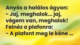Vicc: Anyós a halálos ágyon: – Jaj, meghalok… jaj, végem van,…