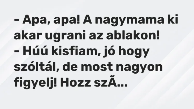 Vicc: – Apa, apa! A nagymama ki akar ugrani az ablakon!
– Húú kisfiam, jó hogy… Vicc: – Apa, apa! A nagymama ki akar ugrani az ablakon!
– Húú kisfiam, jó hogy…