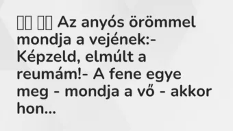 Vicc: Az anyós örömmel mondja a vejének:- Képzeld, elmúlt a…