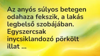 Vicc: Az anyós súlyos betegen odahaza fekszik, a lakás legbelső szobájában….