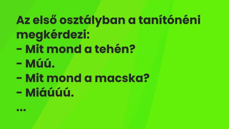 Vicc: Az első osztályban a tanítónéni megkérdezi:
– Mit mond a tehén?
-… Vicc: Az első osztályban a tanítónéni megkérdezi:
– Mit mond a tehén?
-…