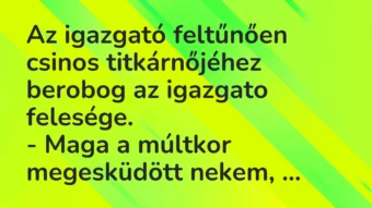 Vicc: Az igazgató feltűnően csinos titkárnőjéhez berobog az igazgato felesége. -…