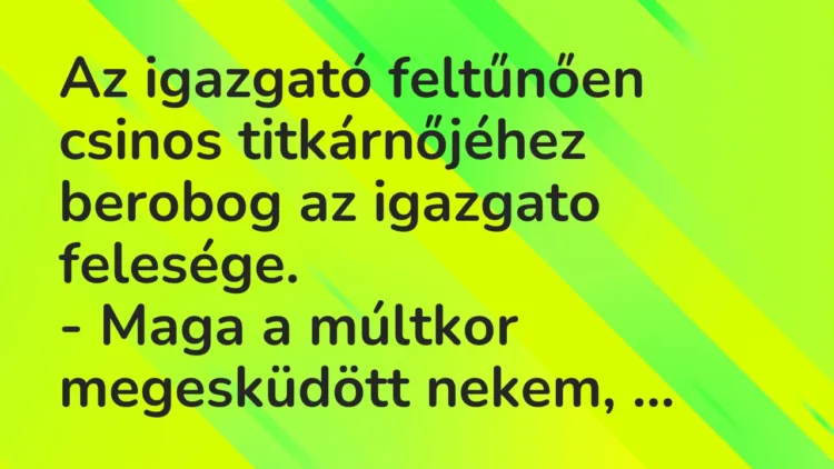 Vicc: Az igazgató feltűnően csinos titkárnőjéhez berobog az igazgato felesége. -…