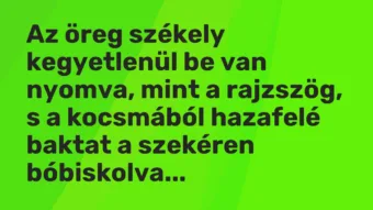 Vicc: Az öreg székely kegyetlenül be van nyomva, mint a rajzszög, s a kocsmából…
