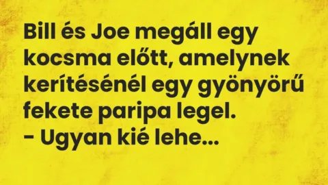 Vicc: Bill és Joe megáll egy kocsma előtt, amelynek kerítésénél egy gyönyörű fekete…