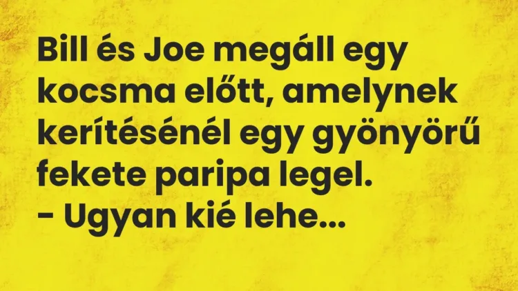 Vicc: Bill és Joe megáll egy kocsma előtt, amelynek kerítésénél egy gyönyörű fekete… Vicc: Bill és Joe megáll egy kocsma előtt, amelynek kerítésénél egy gyönyörű fekete…