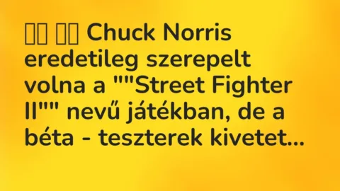 Vicc: 
		  
		  Chuck Norris eredetileg szerepelt volna a „”Street Fighter …