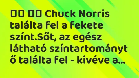 Vicc: 
		  
		  Chuck Norris találta fel a fekete színt.Sőt, az egész…