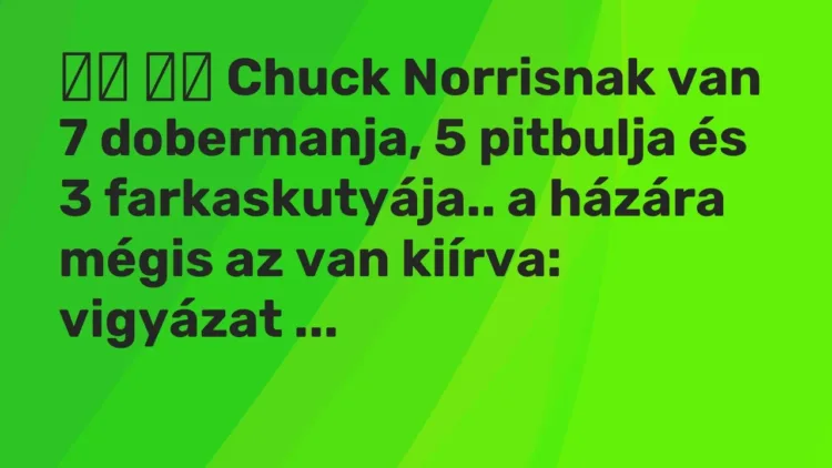 Vicc:
Chuck Norrisnak van 7 dobermanja, 5 pitbulja és 3… Vicc:
Chuck Norrisnak van 7 dobermanja, 5 pitbulja és 3…