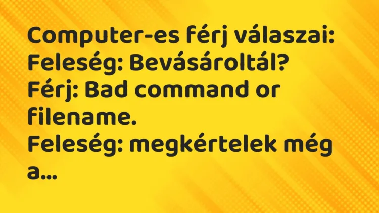 Vicc: Computer-es férj válaszai: Feleség: Bevásároltál? Férj: Bad command or…