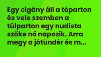 Vicc: Egy cigány áll a tóparton és vele szemben a túlparton egy nudista szőke nő…