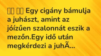 Vicc: 
		  
		  Egy cigány bámulja a juhászt, amint az jóízűen szalonnát…
