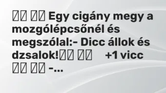 Vicc: Egy cigány megy a mozgólépcsőnél és megszólal:- Dicc…