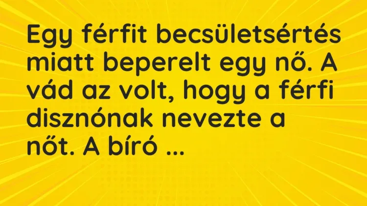 Vicc: Egy férfit becsületsértés miatt beperelt egy nő. A vád az volt, hogy a férfi… Vicc: Egy férfit becsületsértés miatt beperelt egy nő. A vád az volt, hogy a férfi…