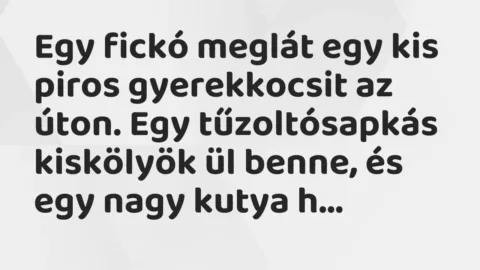Vicc: Egy fickó meglát egy kis piros gyerekkocsit az úton. Egy tűzoltósapkás kiskölyök…